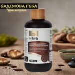 Бадемова гъба Зехира