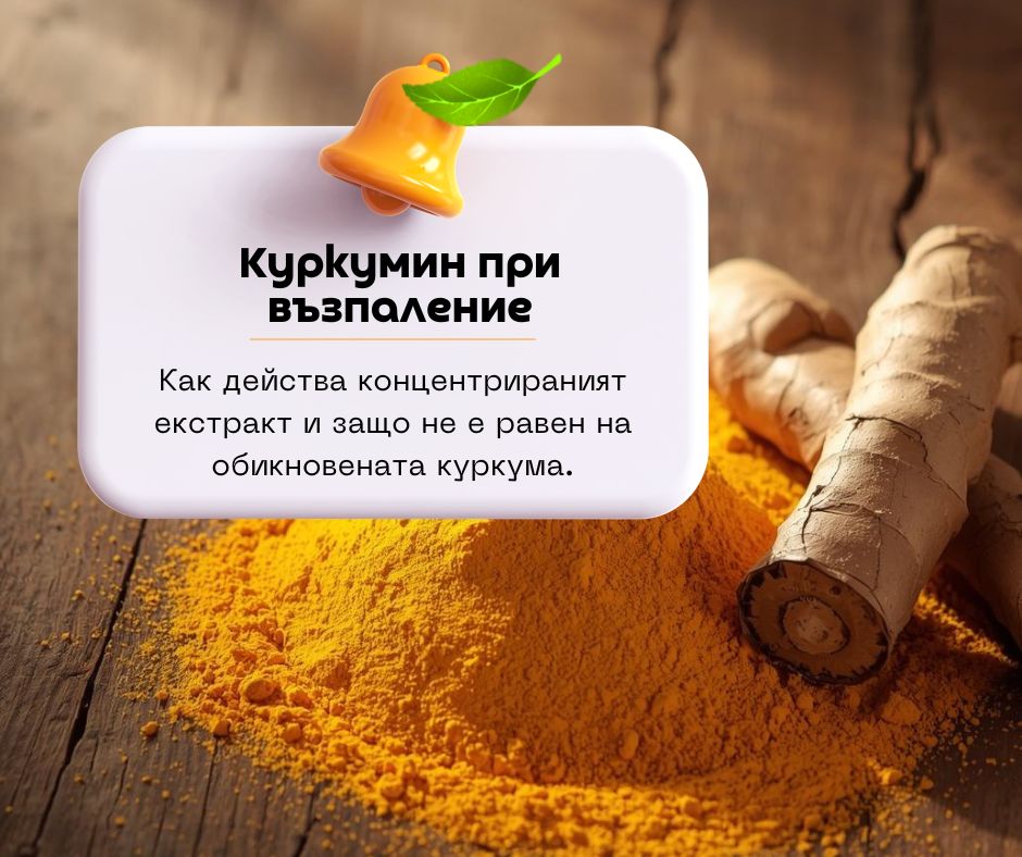 Куркумин при възпаление: как действа концентрираният екстракт и защо не е равен на обикновената куркума